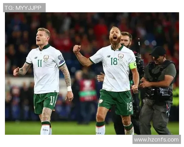 法国与爱尔兰足球历史交锋记录分析与回顾