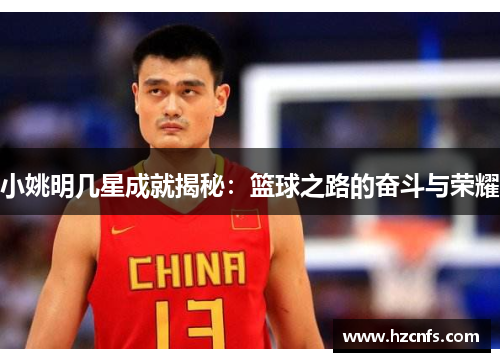 小姚明几星成就揭秘:篮球之路的奋斗与荣耀 小姚明几星成就揭秘:篮球之路的奋斗与荣耀